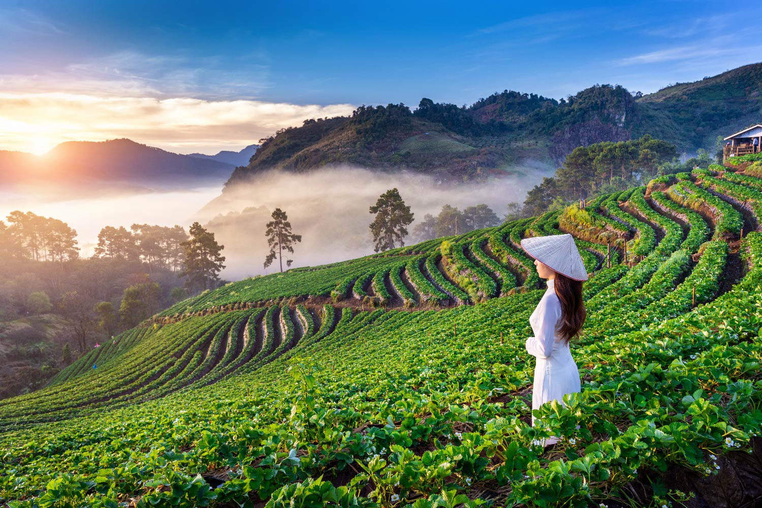 SAPA, VIETNAM 